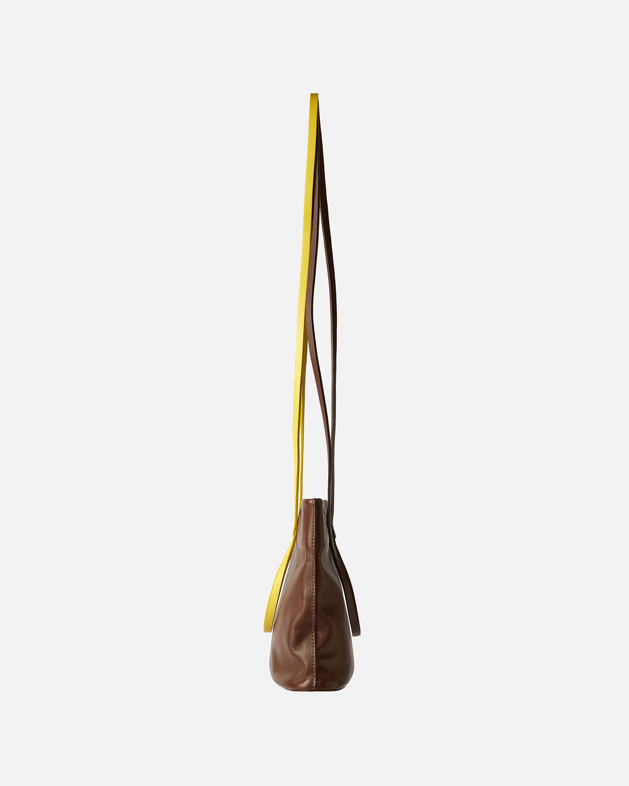 05TRACE SEQUOIA