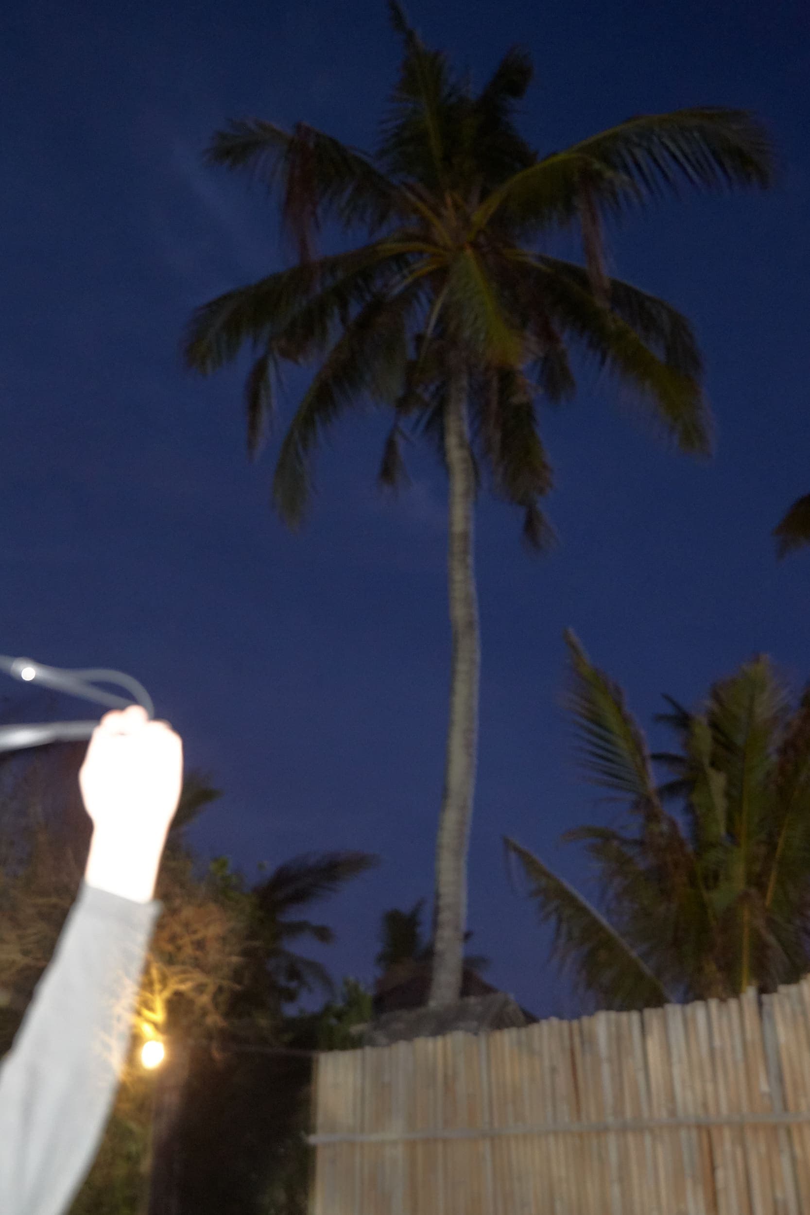 BALI