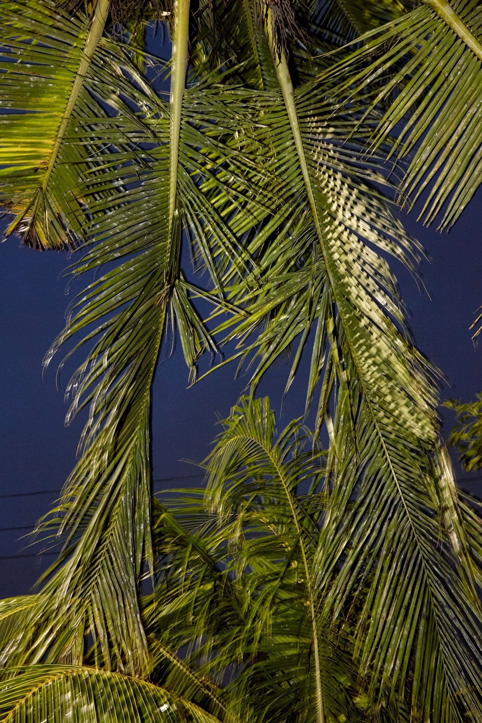 BALI