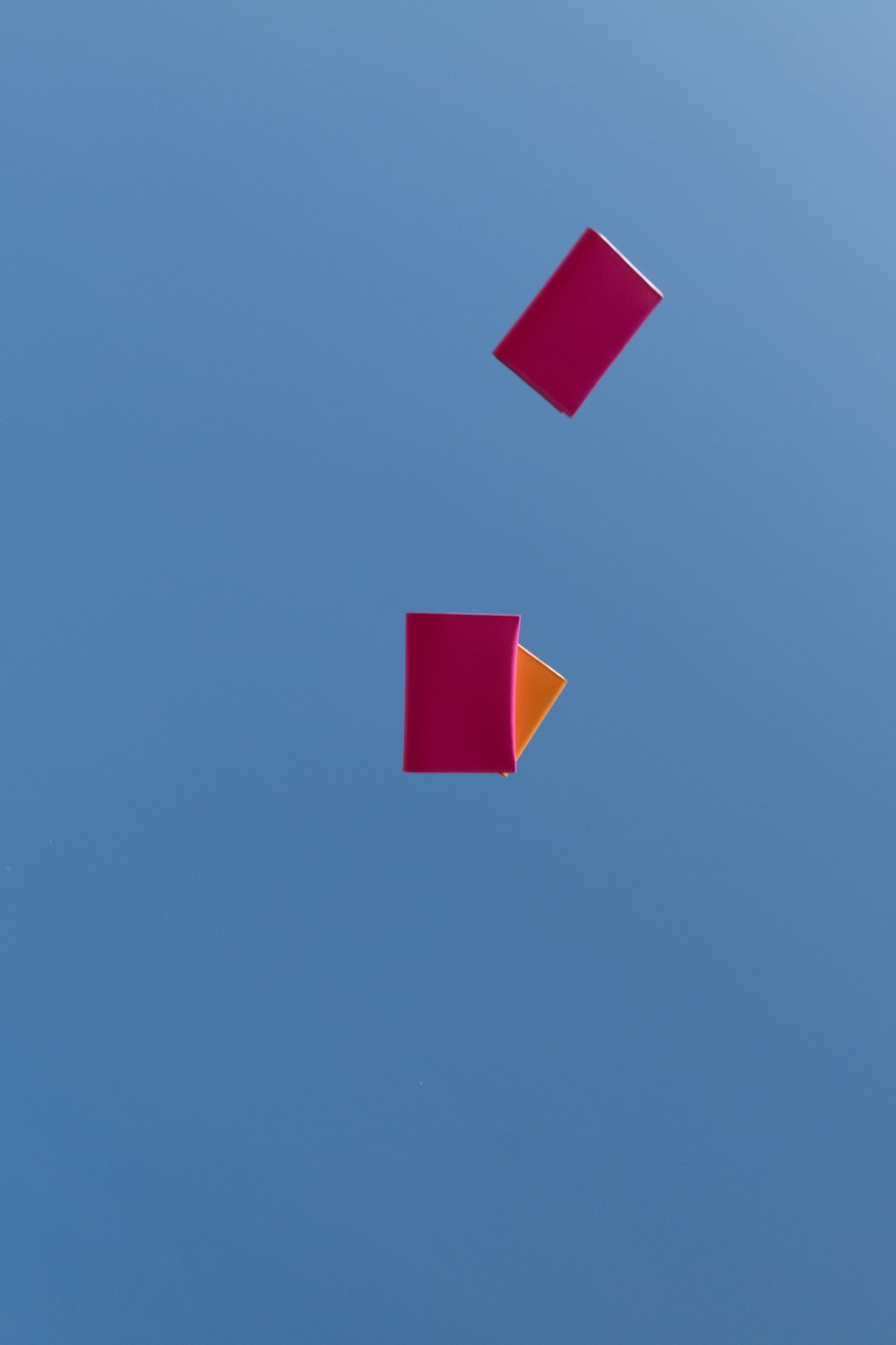 SS24 SKYDIVING