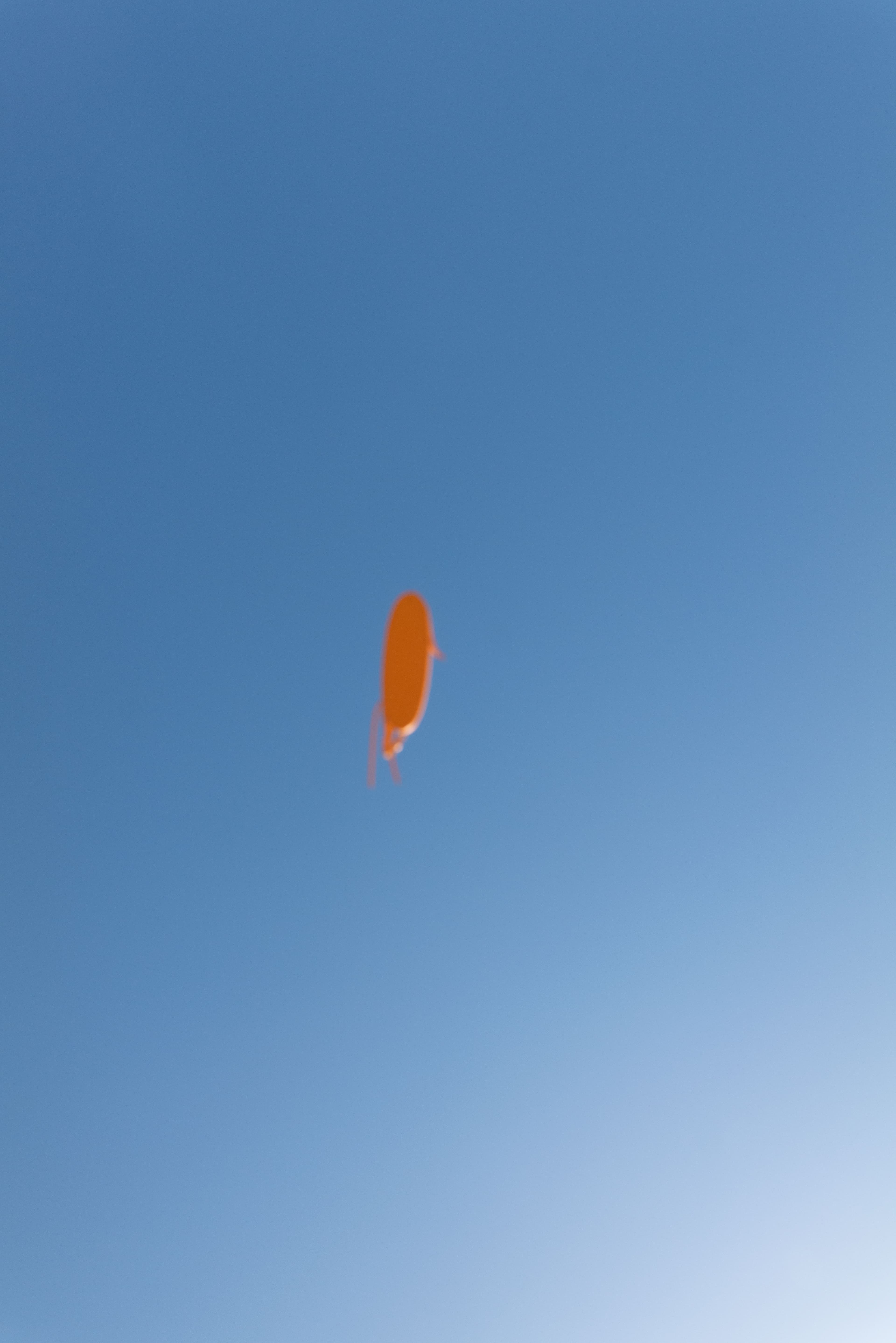 SS24 SKYDIVING