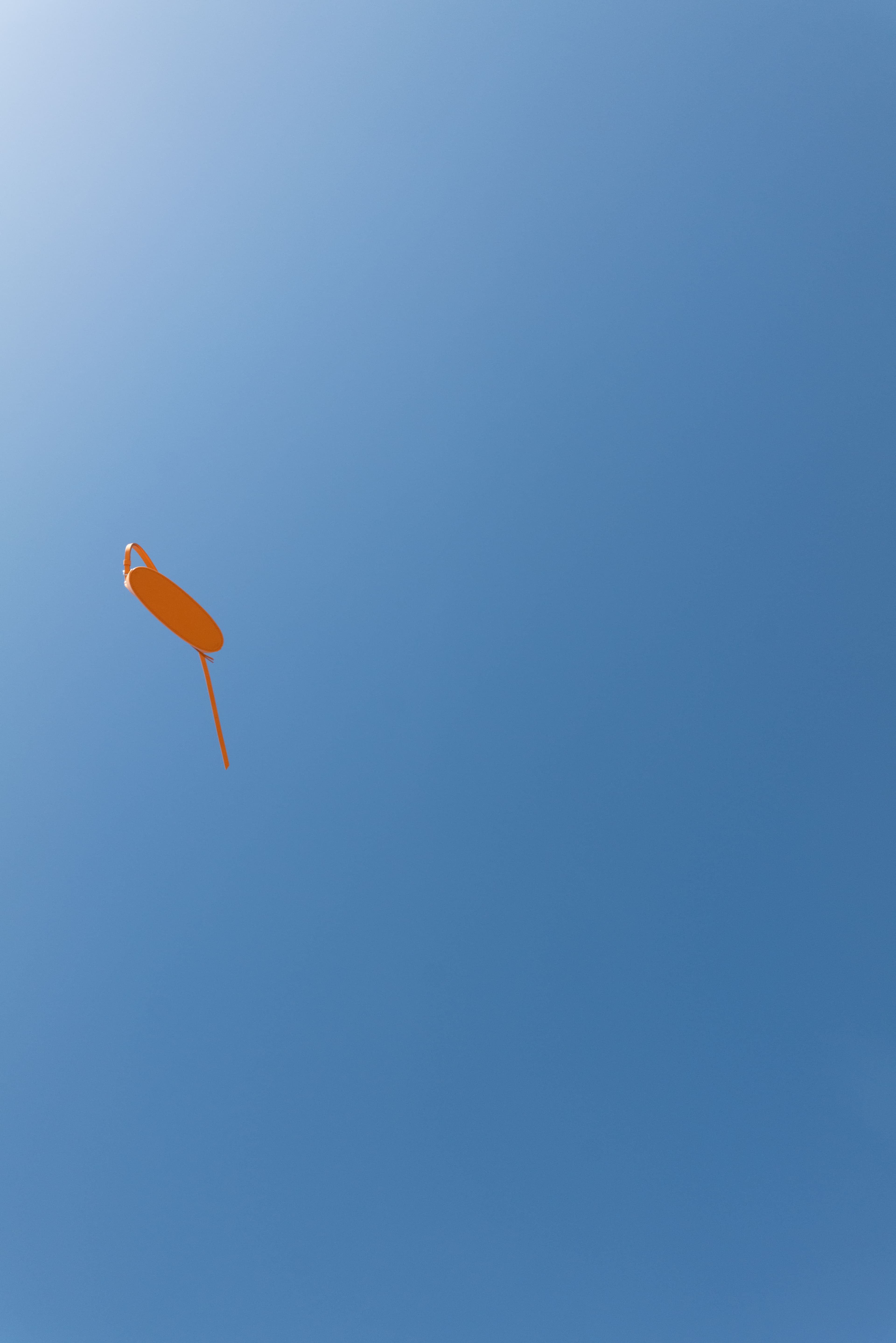 SS24 SKYDIVING