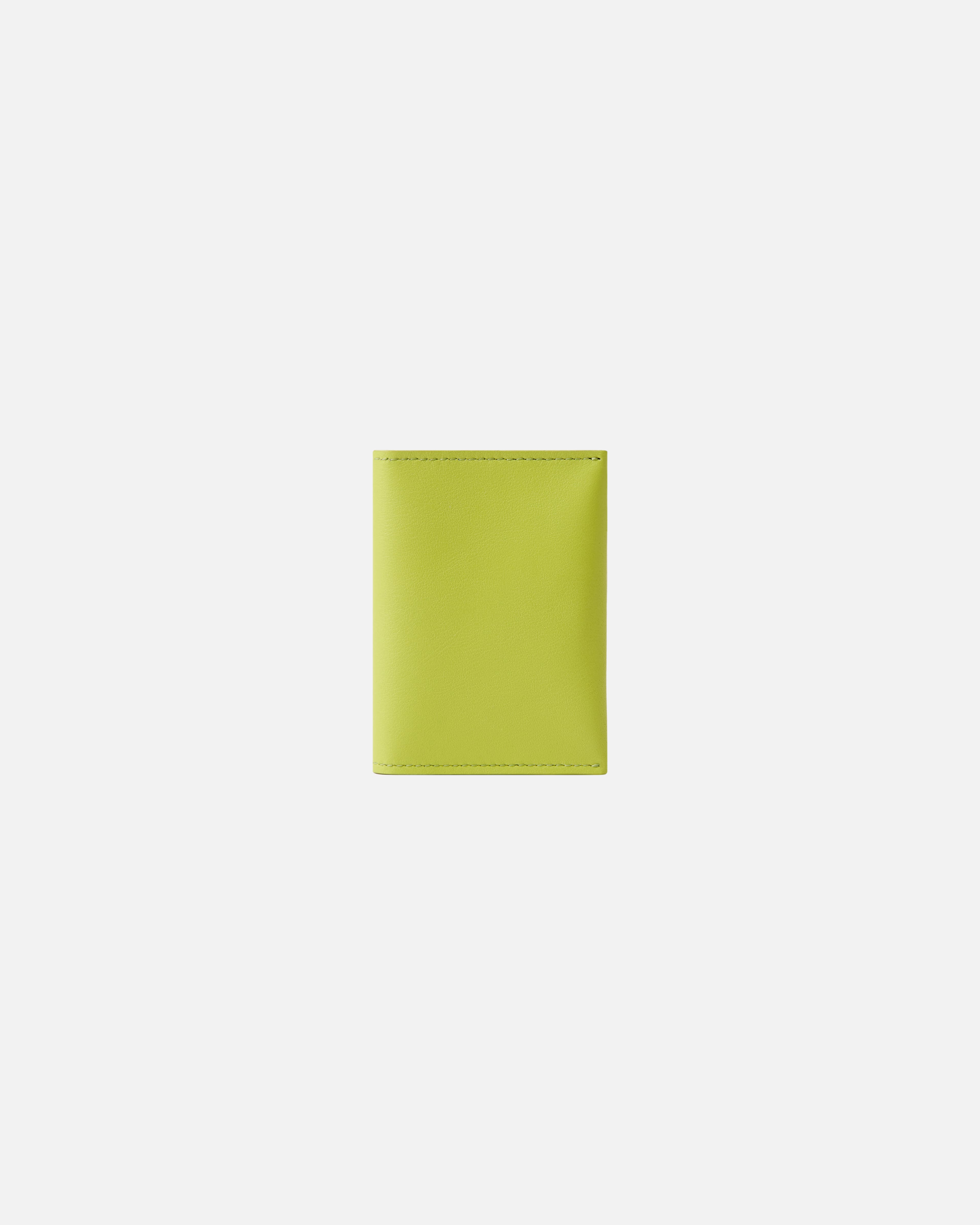 CREDIT CARD CASE ANIS