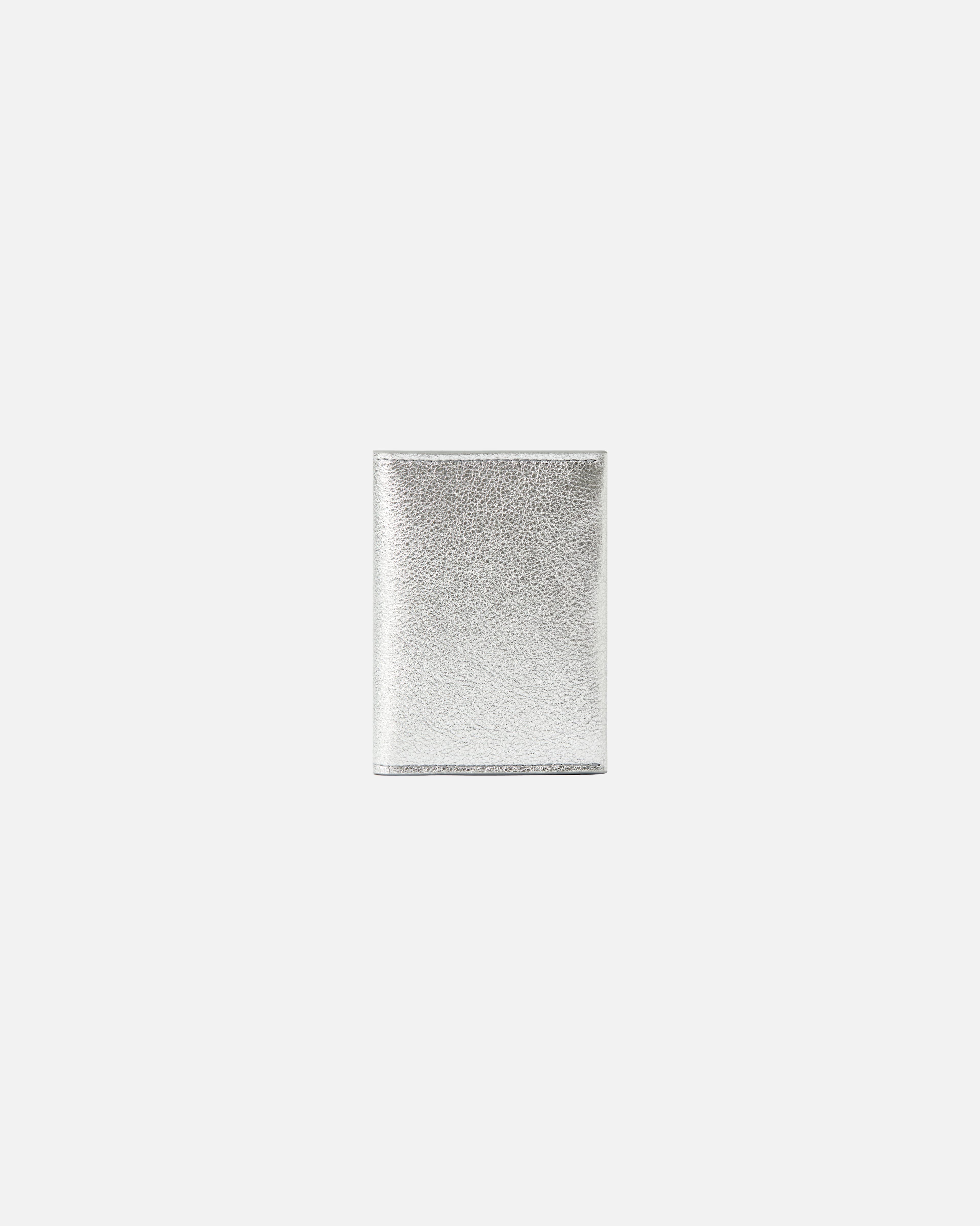 CREDIT CARD CASE SILVER